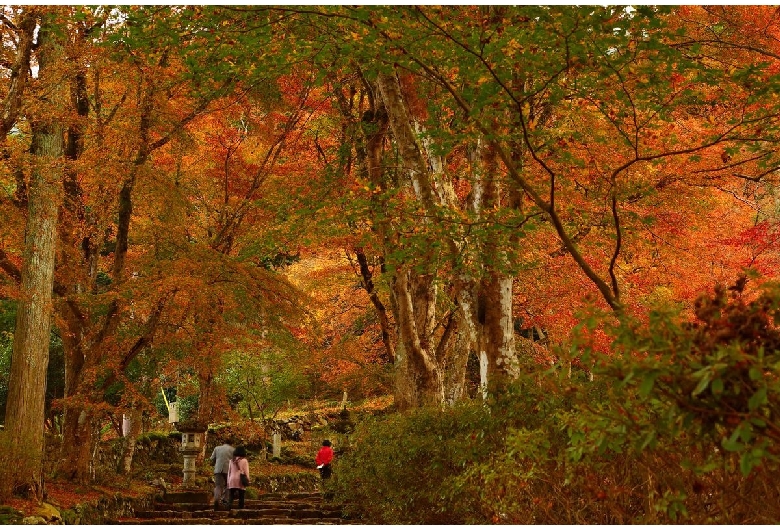 高山寺