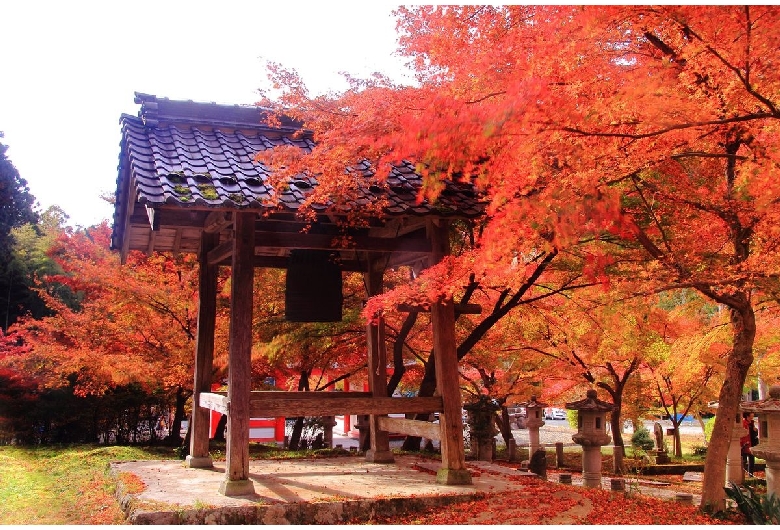 高山寺