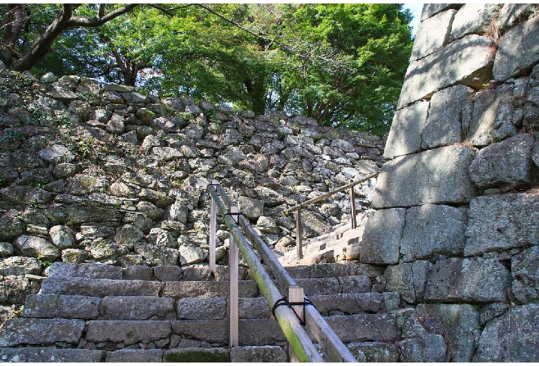 篠山神社（久留米城跡）