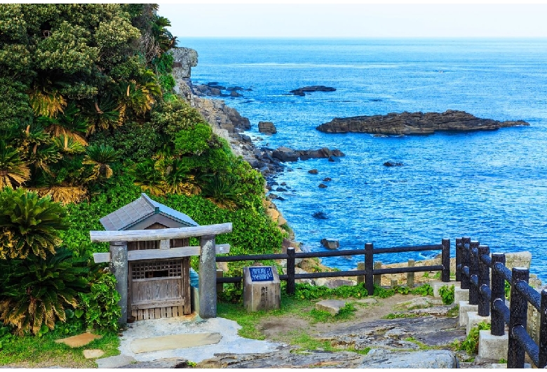 都井岬ソテツ自生地