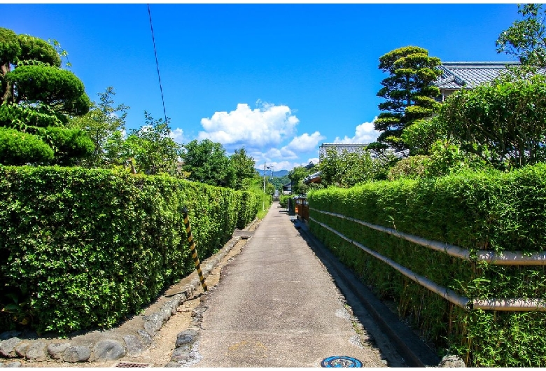 土居廓中伝統的建造物群保存地区