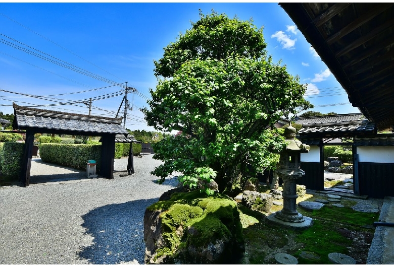 大山町所子伝統的建造物群保存地区