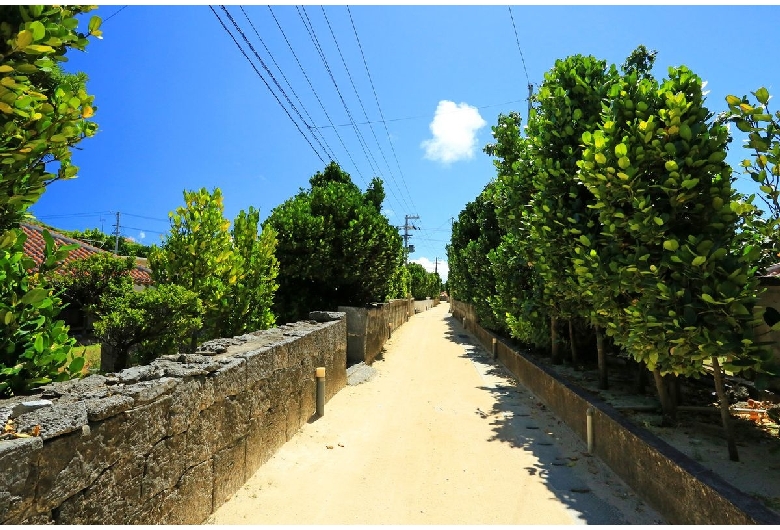 渡名喜島（伝統的建造物群保存地区）