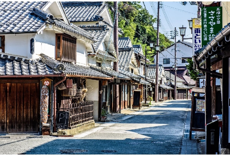 篠山市篠山伝統的建造物群保存地区