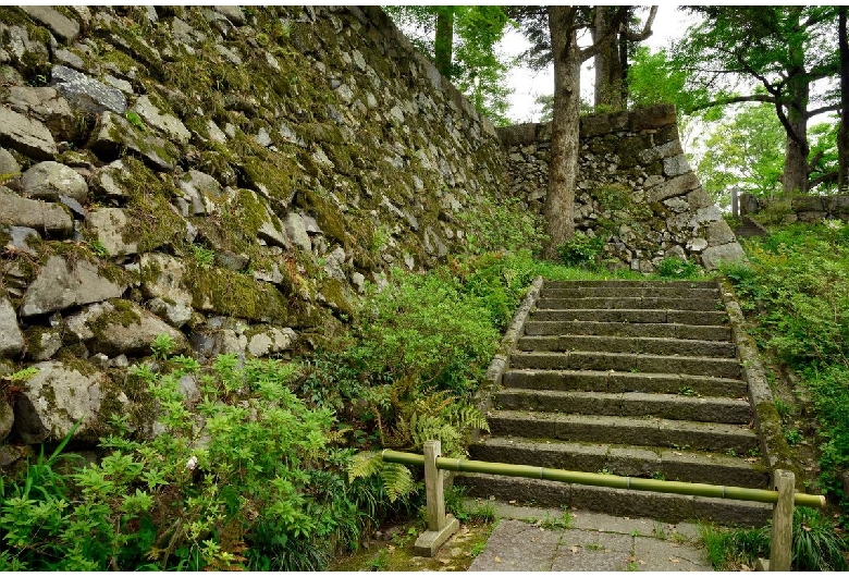 綾部・福知山・湯の花・丹波・亀岡