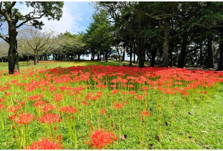 吉野公園