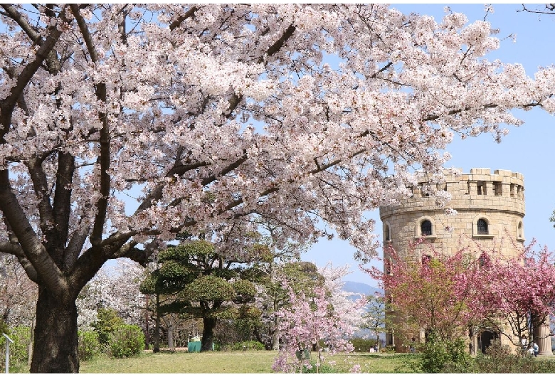 松山総合公園