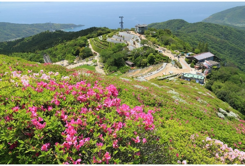 大平山山頂公園