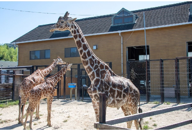 福山市立動物園