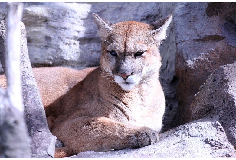 福山市立動物園