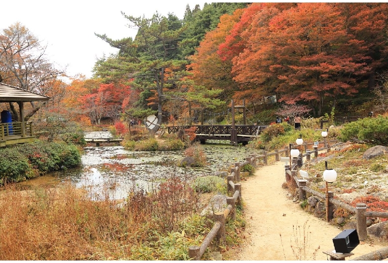 六甲高山植物園