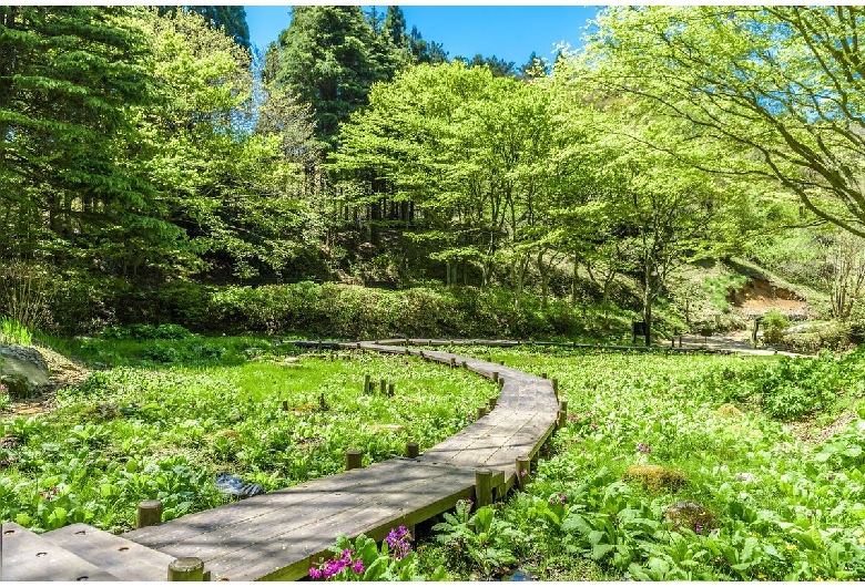 六甲高山植物園