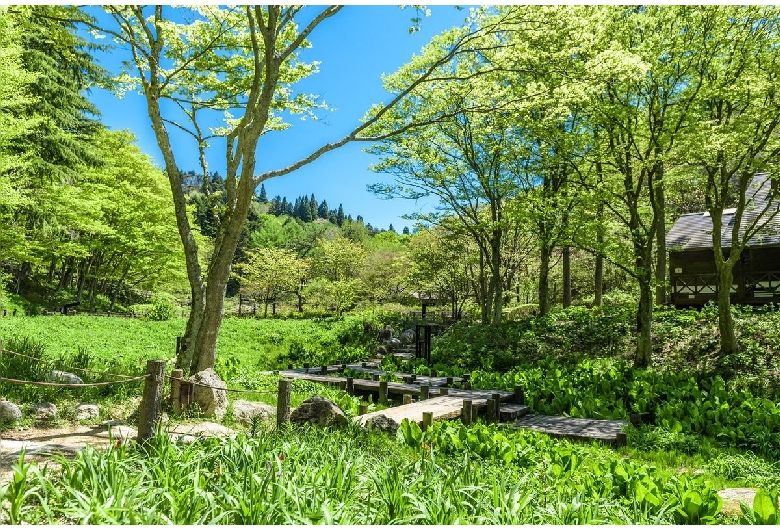 六甲高山植物園