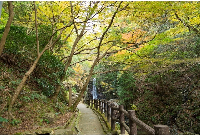 鼓ヶ滝公園