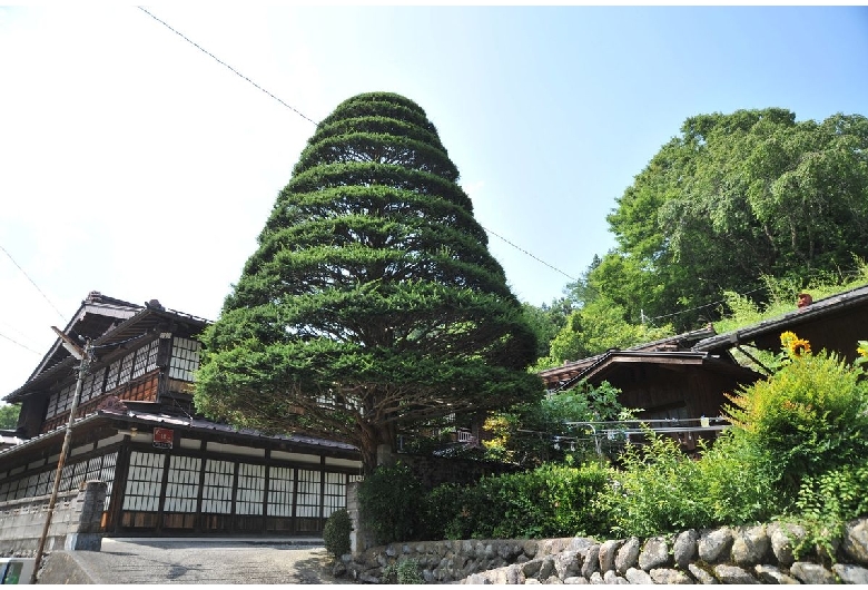 早川町赤沢伝統的建造物群保存地区