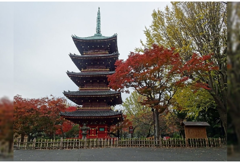 旧寛永寺五重塔