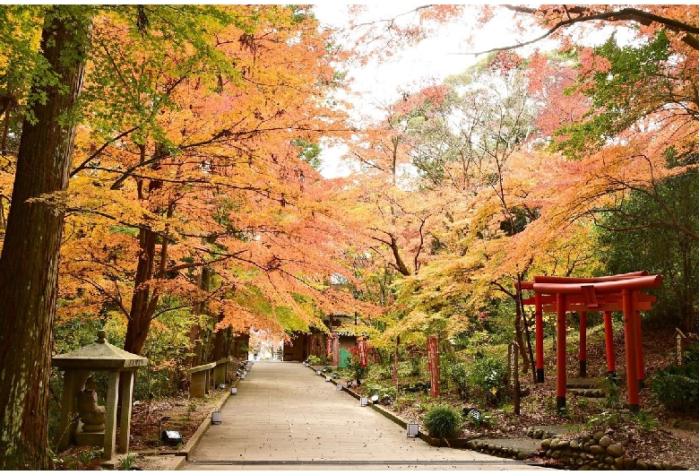 油山寺