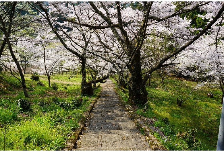 佛隆寺（仏隆寺）