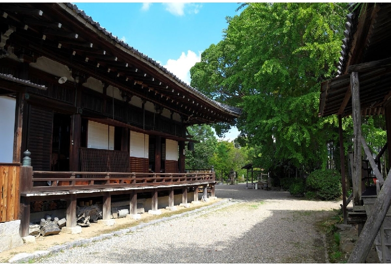 大安寺