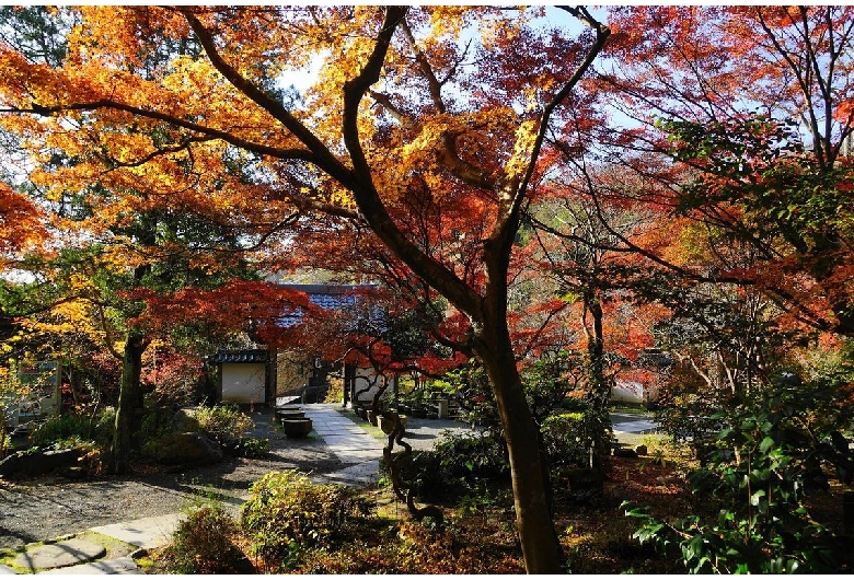 覚園寺