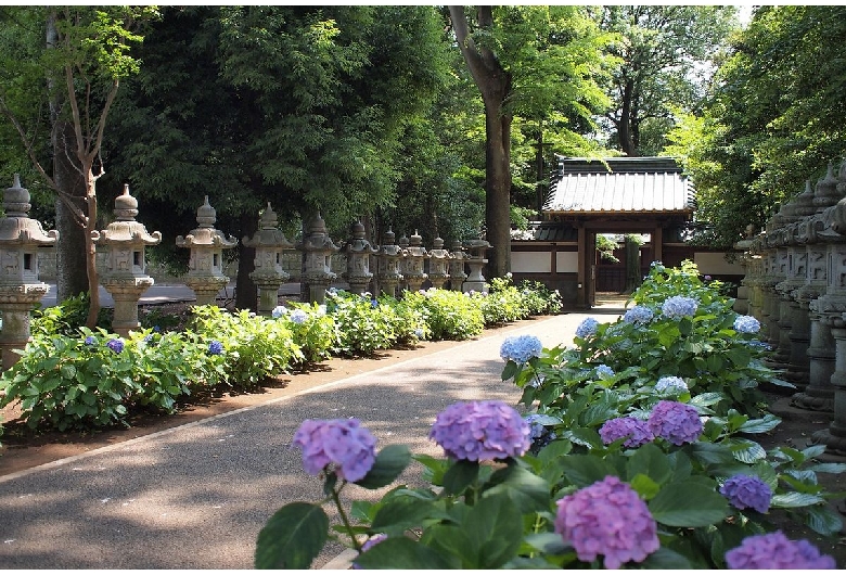 妙法寺