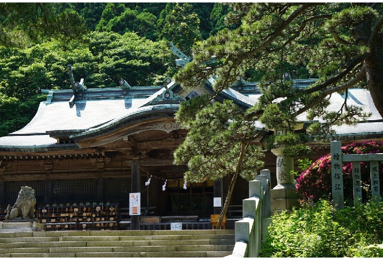 函館八幡宮