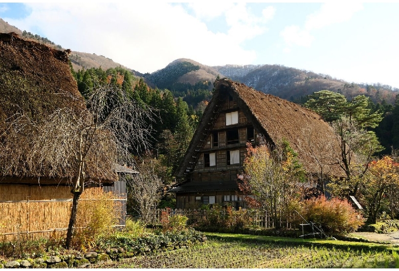 野外博物館合掌造り民家園（白川郷）