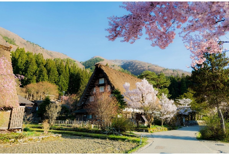 明善寺庫裡郷土館（白川郷）