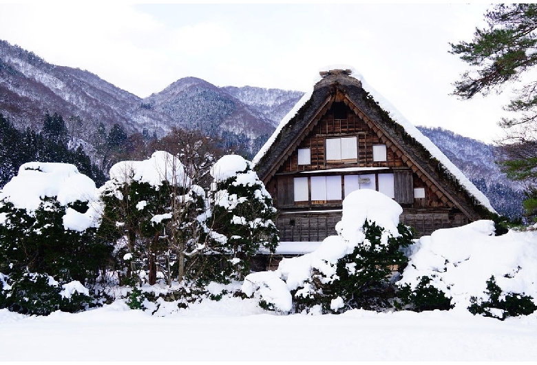 和田家（白川郷合掌造り）