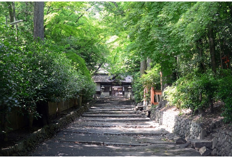 伊居太神社