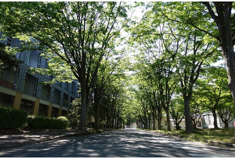 旧米沢高等工業学校本館