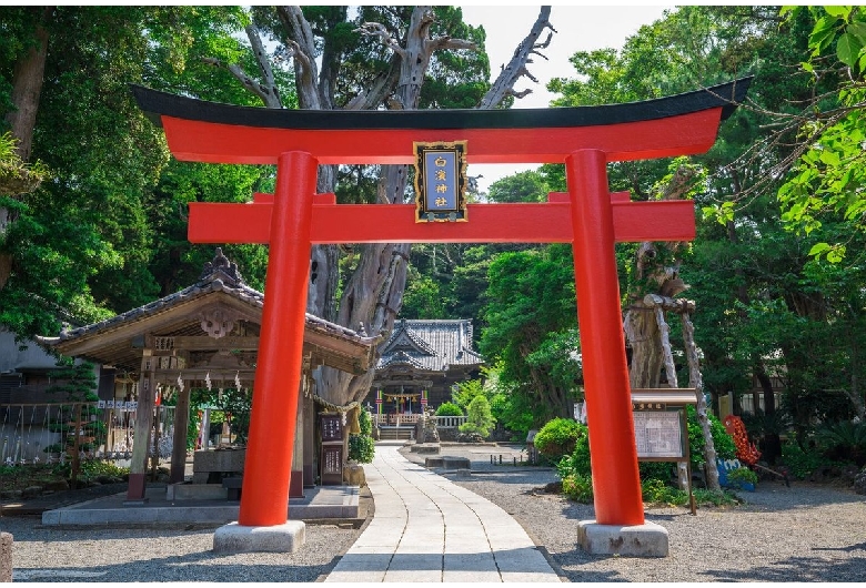 白浜神社（伊古奈比咩命神社）