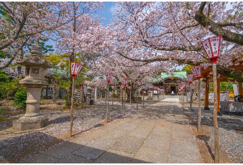 沼津日枝神社