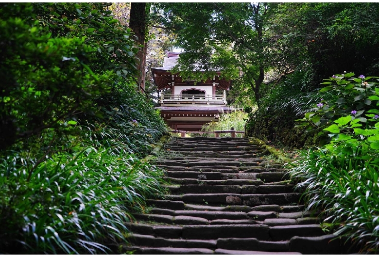 浄智寺