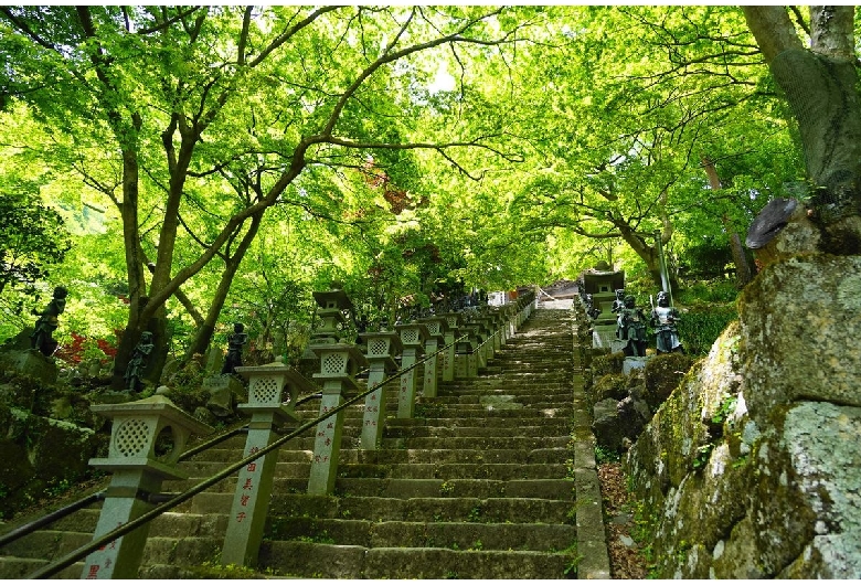 大山寺（大山不動）