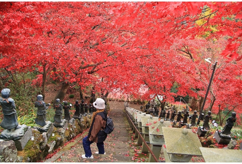 大山寺（大山不動）