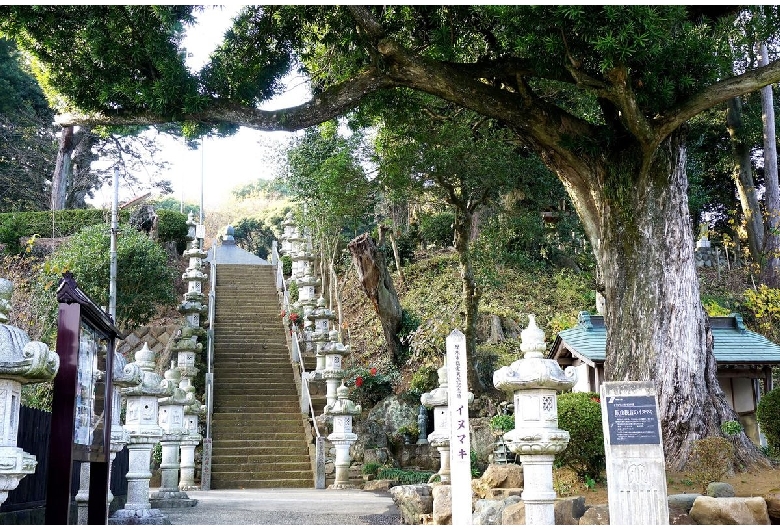 長谷寺（飯山観音）