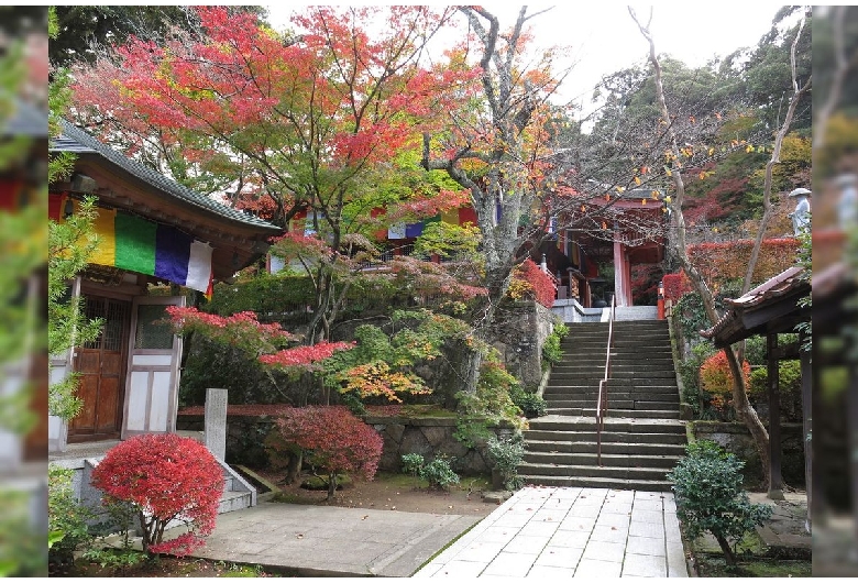 薬王院温泉寺