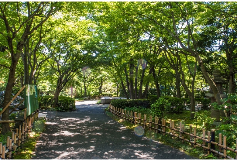 池田山公園