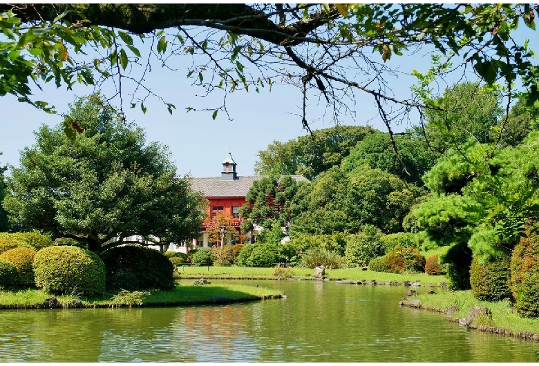 東京大学大学院理学系研究科附属植物園（小石川植物園）