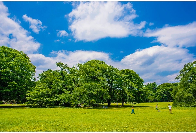 砧公園