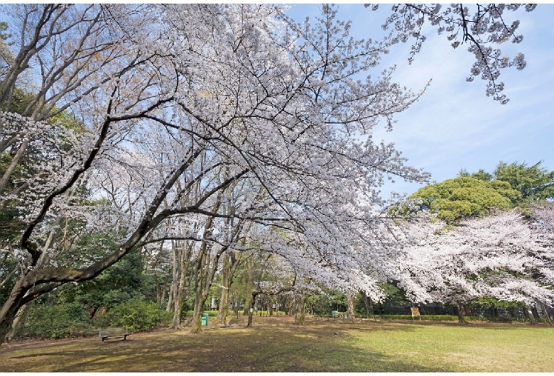 駒場公園