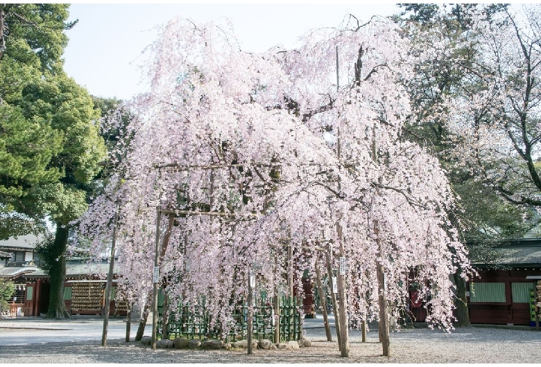 大國魂神社