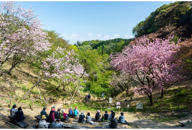 森林総合研究所 多摩森林科学園