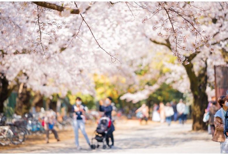 哲学堂公園