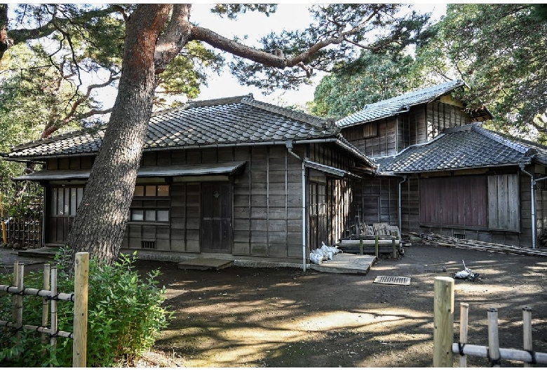 哲学堂公園