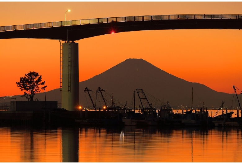 中の島大橋