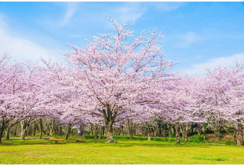 青葉の森公園