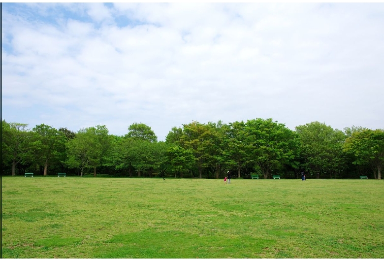 青葉の森公園