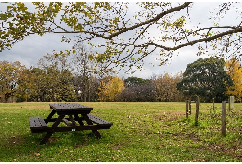 青葉の森公園